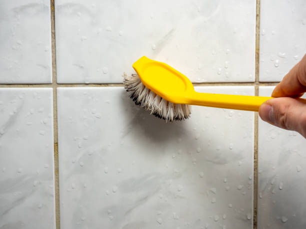 Best Mold Remediation Experts  in Archie, MO