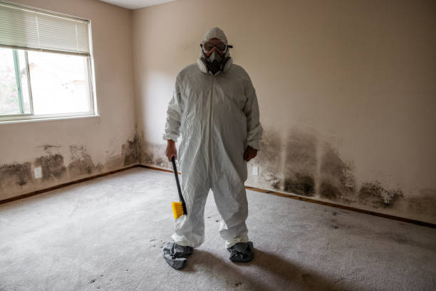 Best Mold Testing  in Archie, MO