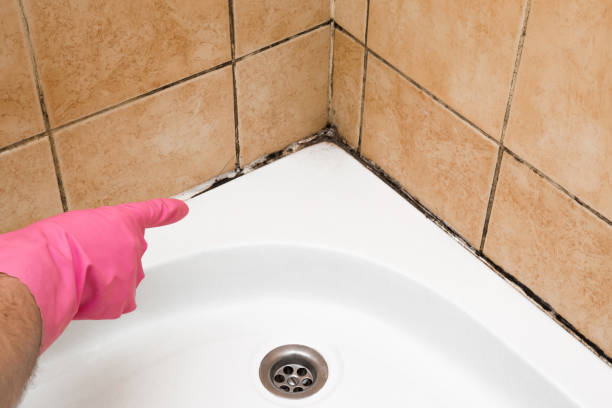 Best Crawl Space Mold Removal  in Archie, MO